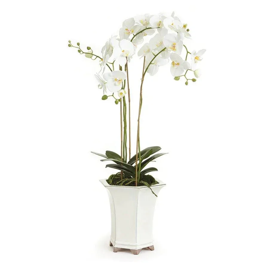 Barclay Butera White Phalaenopsis Faux Orchid in White Ceramic Pot